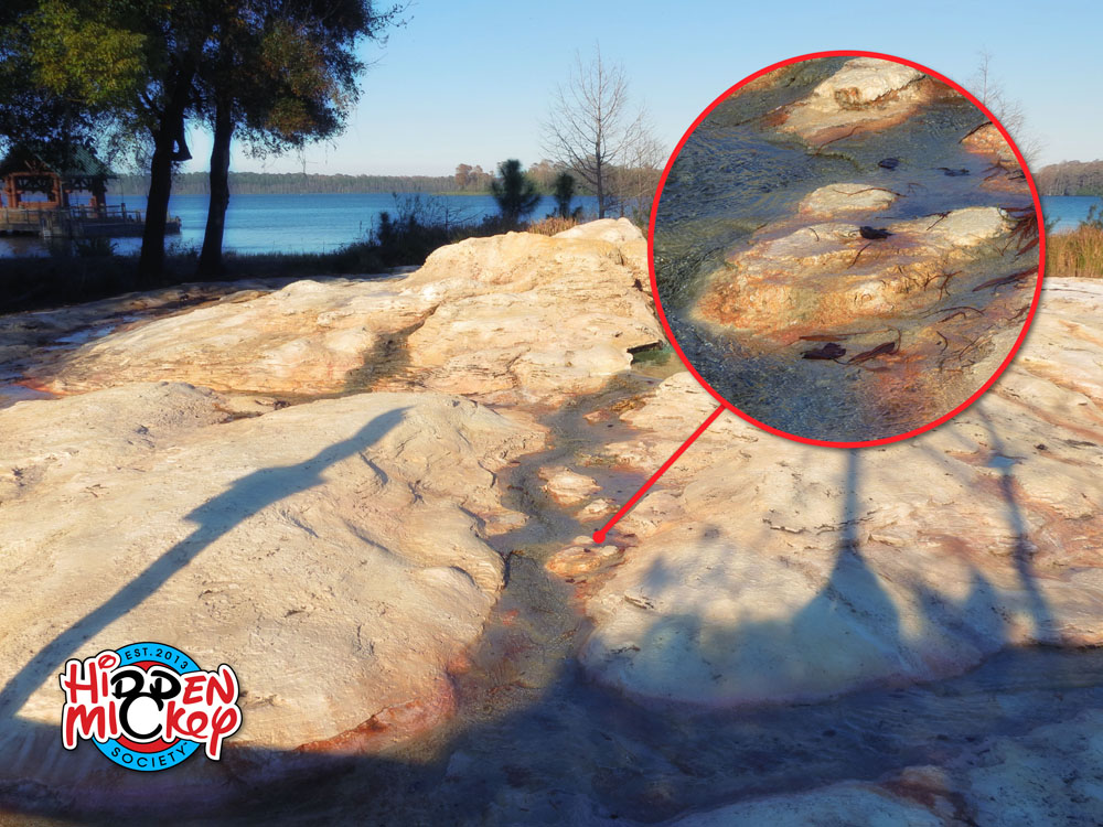 IMG 4859a archive reference