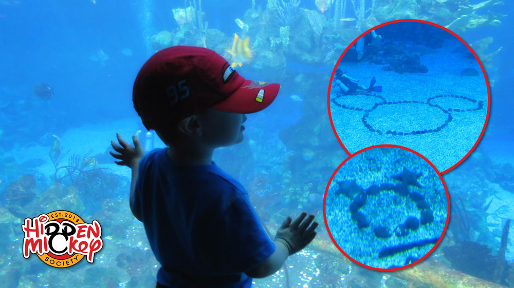 IMG 5350a archive reference