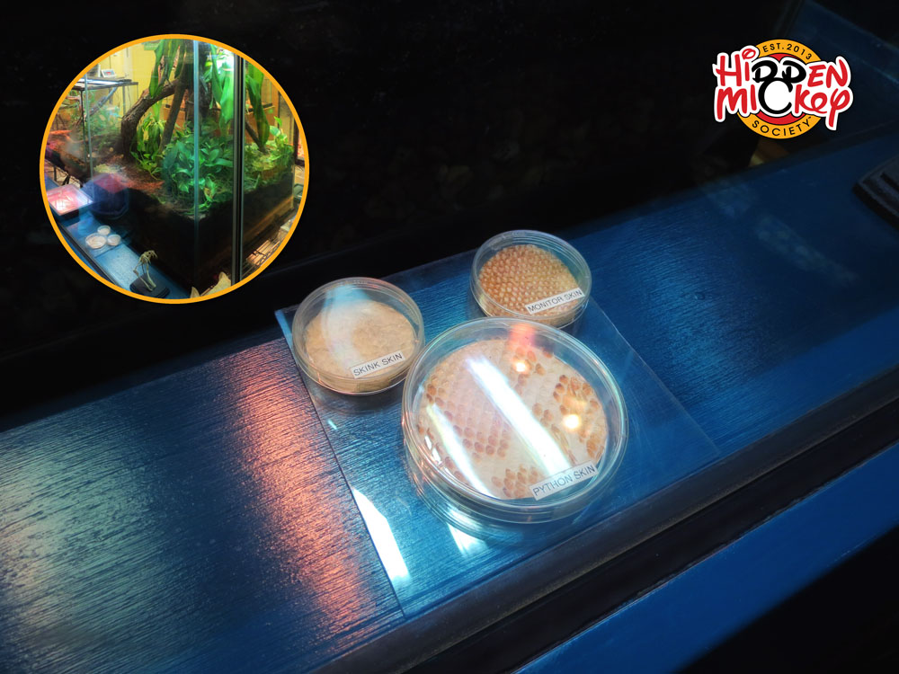 IMG 3654a archive reference